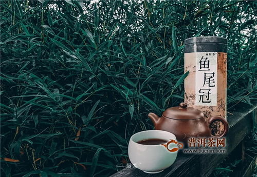 翠竹隨風樂,尾魚逐水流——巔茶茶業的文化與自然之美